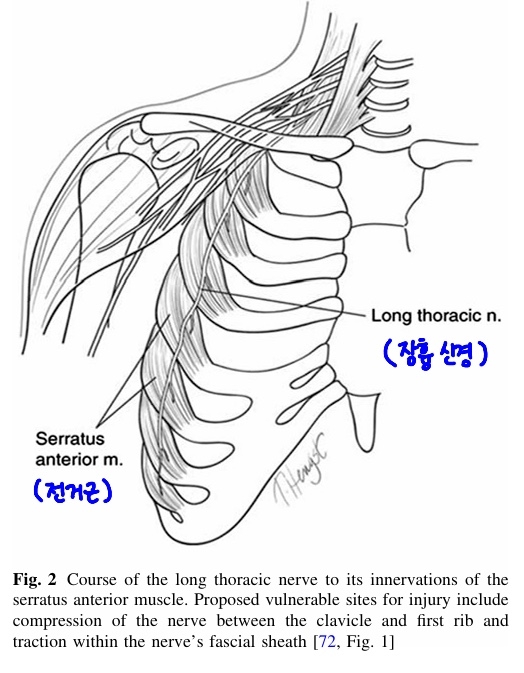 a7741-6a684d1eca8b1-a2d17dcf897eb3f0622dd57aacde45836d9e35bd.jpg