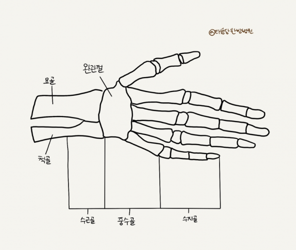 손목터널증후군 추나치료