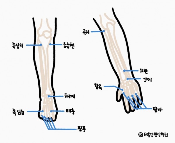 수족냉증 수족다한증