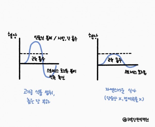 저속노화 노화가속 비만 식단