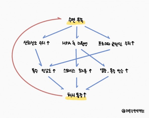 불면증 허리통증