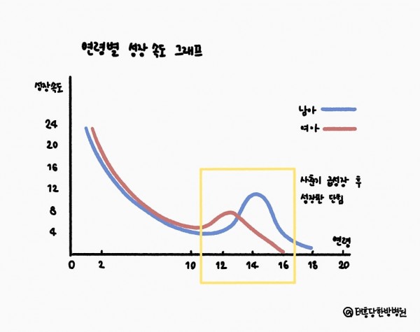 연령별 성장 속도 그래프