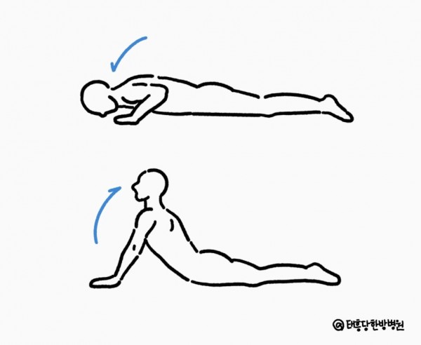 신전운동 - 엎드려 진행하는 경우